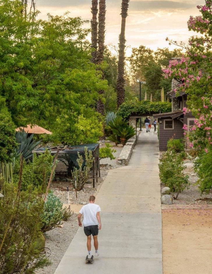 Skateboarder heading toward the Grove House at sunset.